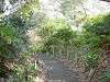 hamarikyu_0210_mini.jpg