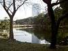 hamarikyu_0228_mini.jpg