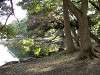 hamarikyu_0230_mini.jpg