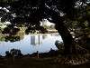 hamarikyu_0233_mini.jpg