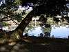 hamarikyu_0235_mini.jpg