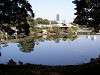 hamarikyu_0238_mini.jpg