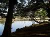 hamarikyu_0239_mini.jpg