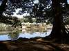 hamarikyu_0240_mini.jpg