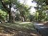 hamarikyu_0241_mini.jpg