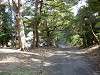 hamarikyu_0245_mini.jpg