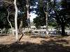 hamarikyu_0246_mini.jpg