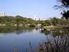 hamarikyu_0252_mini.jpg