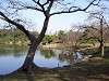 hamarikyu_0255_mini.jpg