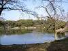 hamarikyu_0257_mini.jpg