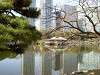 hamarikyu_0264_mini.jpg