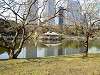 hamarikyu_0265_mini.jpg