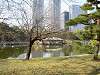 hamarikyu_0266_mini.jpg