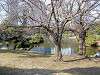 hamarikyu_0269_mini.jpg