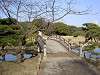 hamarikyu_0271_mini.jpg