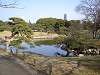 hamarikyu_0272_mini.jpg