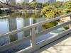 hamarikyu_0275_mini.jpg