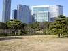 hamarikyu_0285_mini.jpg