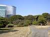 hamarikyu_0286_mini.jpg