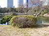 hamarikyu_0289_mini.jpg