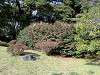 hamarikyu_0296_mini.jpg