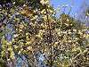 hamarikyu_0304_mini.jpg