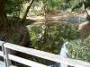 hamarikyu_0316_mini.jpg
