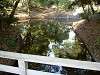 hamarikyu_0317_mini.jpg