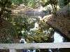 hamarikyu_0318_mini.jpg