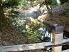 hamarikyu_0319_mini.jpg