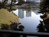hamarikyu_0321_mini.jpg