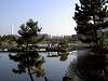 hamarikyu_0327_mini.jpg
