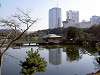 hamarikyu_0331_mini.jpg