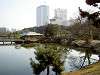 hamarikyu_0332_mini.jpg