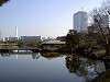 hamarikyu_0333_mini.jpg