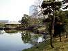 hamarikyu_0334_mini.jpg