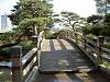 hamarikyu_0337_mini.jpg