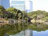 hamarikyu_0346_mini.jpg