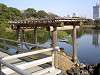 hamarikyu_0349_mini.jpg