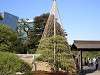 hamarikyu_0356_mini.jpg