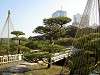 hamarikyu_0357_mini.jpg