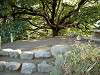 hamarikyu_0367_mini.jpg