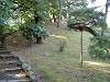 hamarikyu_0370_mini.jpg