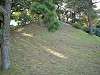hamarikyu_0371_mini.jpg