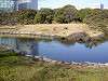 hamarikyu_0374_mini.jpg