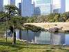 hamarikyu_0376_mini.jpg