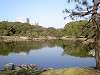 hamarikyu_0377_mini.jpg