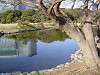 hamarikyu_0379_mini.jpg