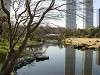 hamarikyu_0382_mini.jpg