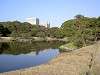 hamarikyu_0384_mini.jpg